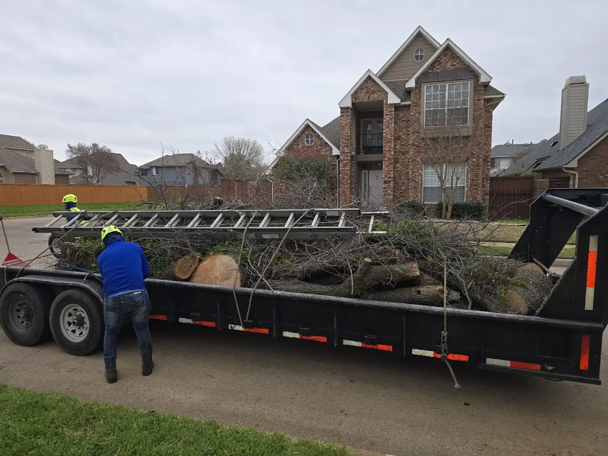 Expert Lot Clearing with proper safety equipment in Tuscola